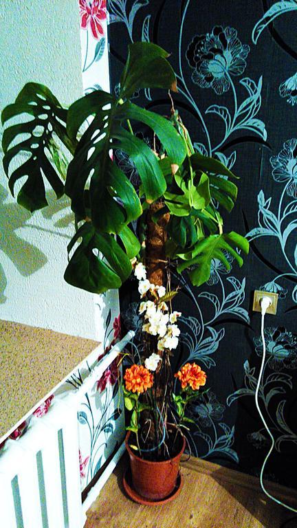 Picturesque Apartment Into Antique Fortress Daugavpils Room photo